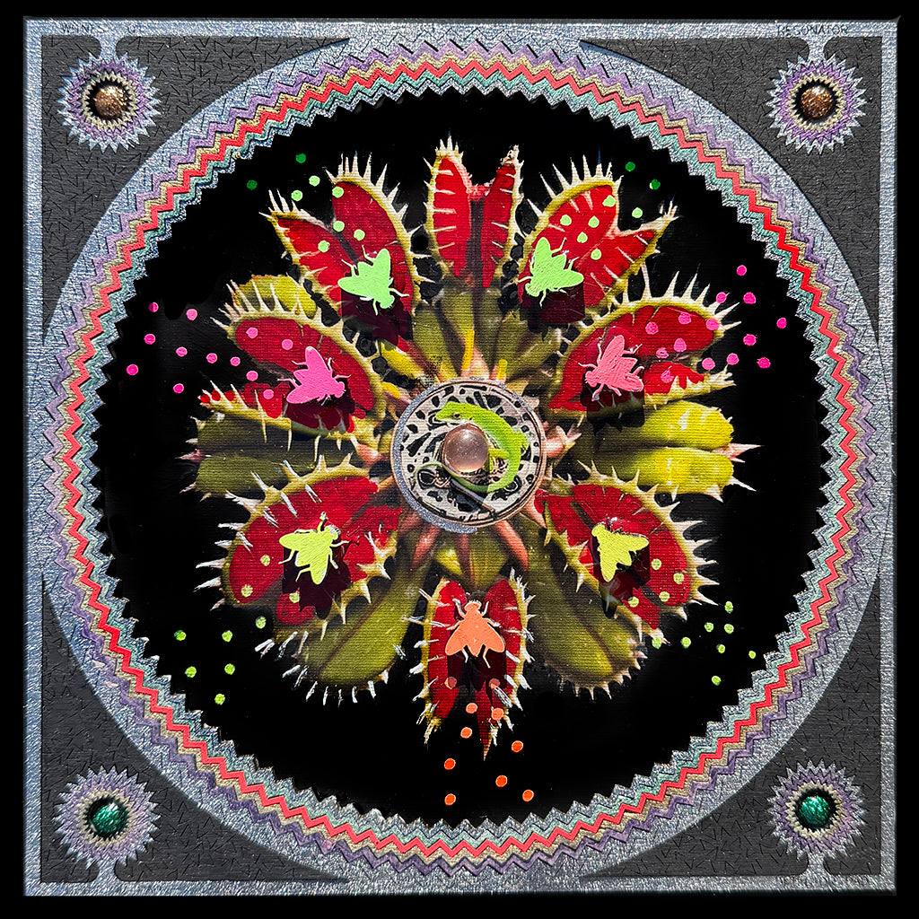 Fly Trap No. 3 (8x8") 2026