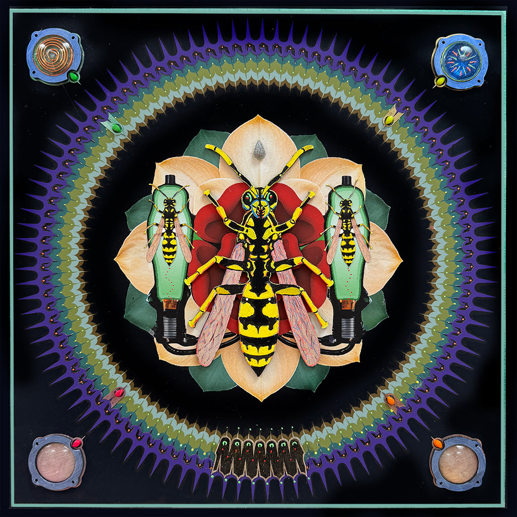 Solstice Yellow Jacket (16"x16") 2026