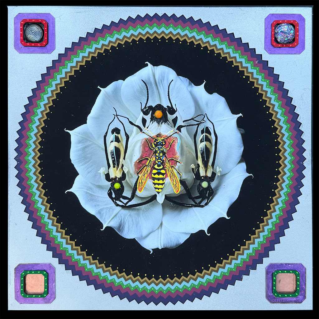 Vespula - The Yellow Jacket (12"x12") 2026