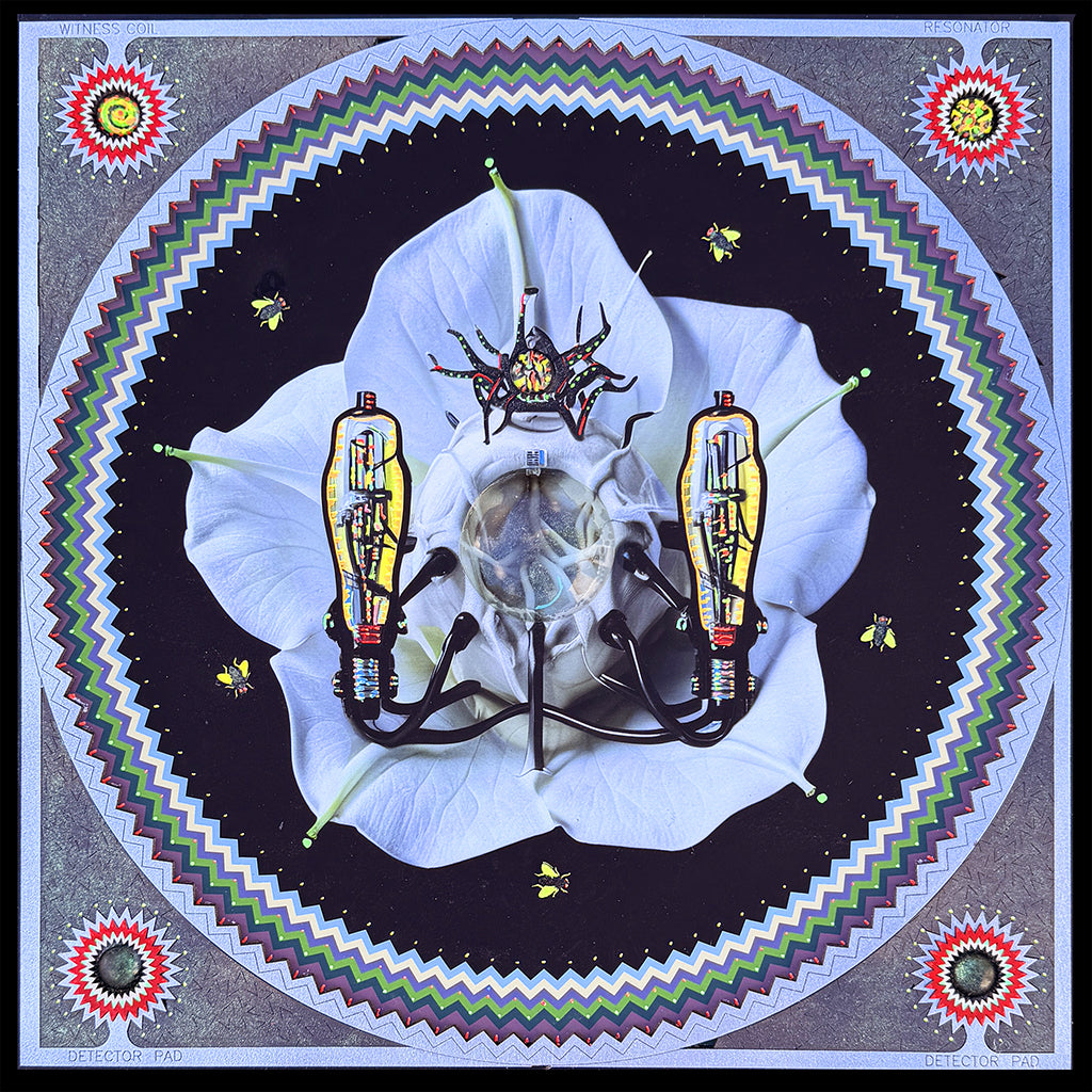 Datura Cerberus (16"x16") 2026