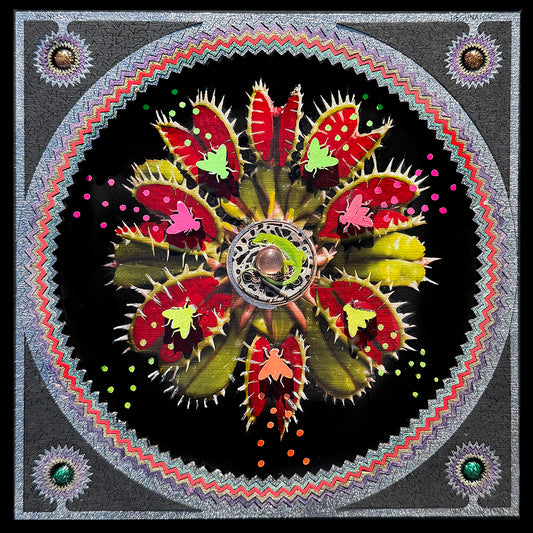 Fly Trap No. 3 (8x8") 2026
