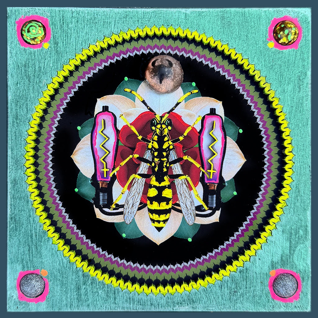 Pyxie Vespula No.1 (5"x5") 2026