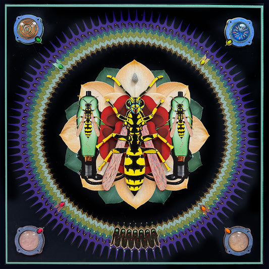 Solstice Yellow Jacket (16"x16") 2026